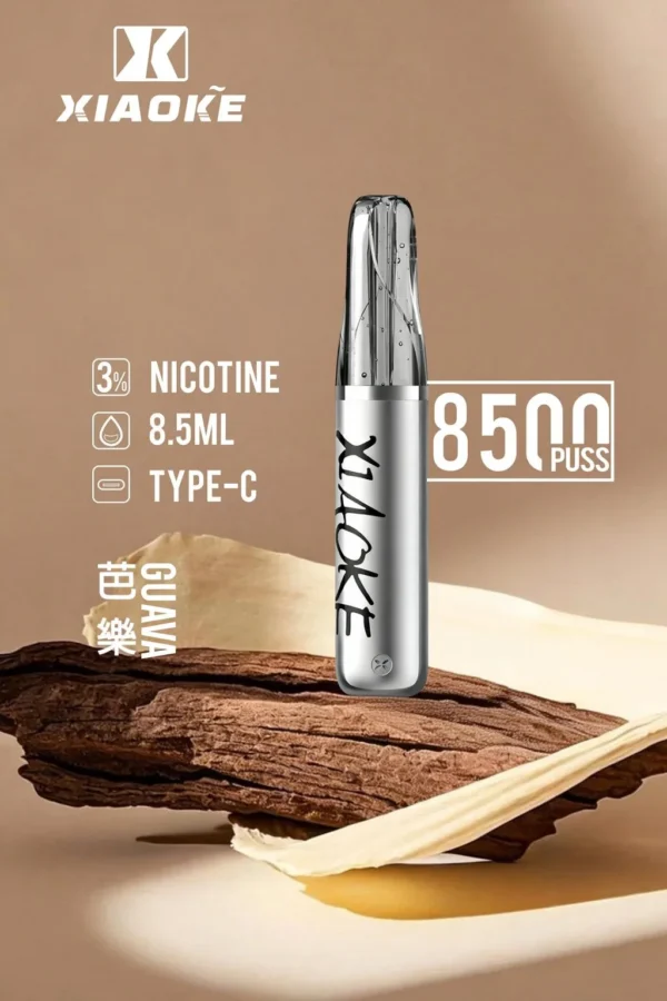 XIAOKE 梟客 8500口拋棄式電子煙｜長效續航與細膩霧感體驗｜適合追求便利與穩定口感的玩家
