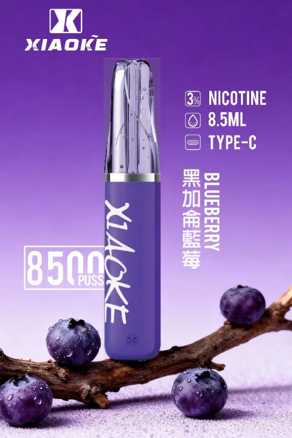XIAOKE 梟客 8500口拋棄式電子煙｜長效續航與細膩霧感體驗｜適合追求便利與穩定口感的玩家
