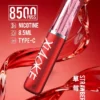 XIAOKE 梟客 8500口拋棄式電子煙｜長效續航與細膩霧感體驗｜適合追求便利與穩定口感的玩家